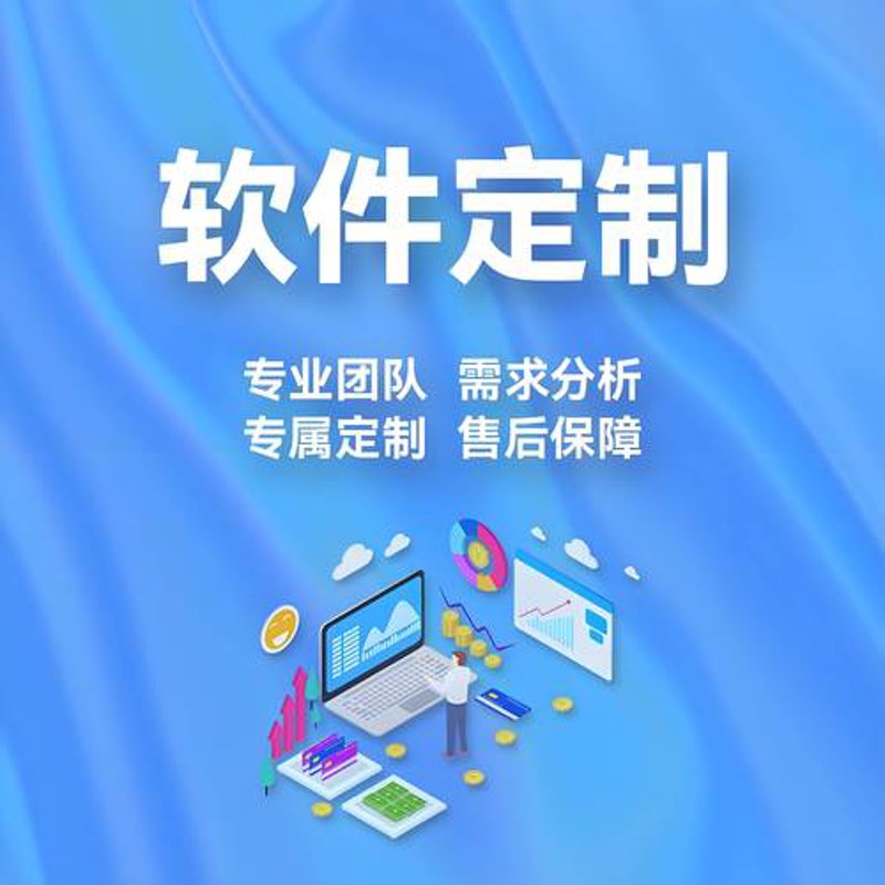 发掘企业软件定制的潜力：助力企业创新成长